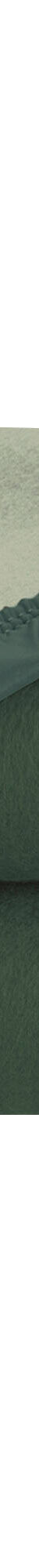 Couverture bicolore Courtelle® 420 g/m² (eucalyptus) Couverture bicolore Courtelle® 420 g/m² (eucalyptus)